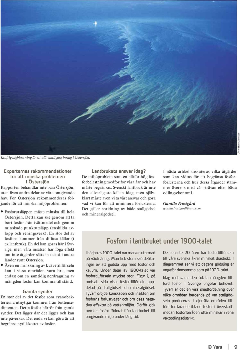 För Östersjön rekommenderas följande för att minska miljöproblemen: l Fosforutsläppen måste minska till hela Östersjön.