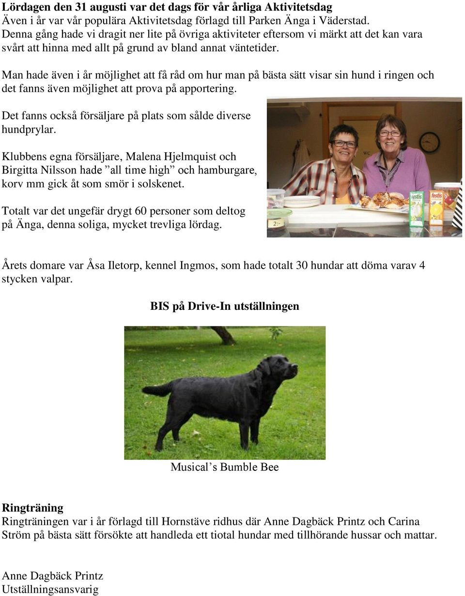 fven i Norden en motsvarighet till detta ord hafva existerat? Vikaren 1 ville man grna frbinda med namnet den socken Vikingstad, hvars grns den varit LANDSML