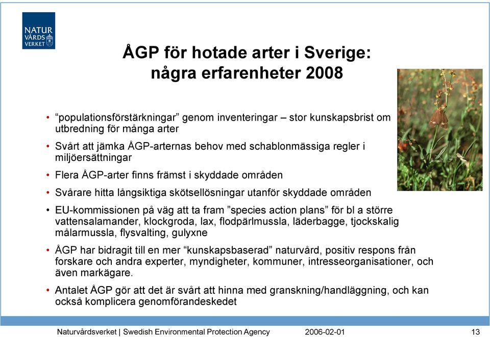 species action plans för bl a större vattensalamander, klockgroda, lax, flodpärlmussla, läderbagge, tjockskalig målarmussla, flysvalting, gulyxne ÅGP har bidragit till en mer kunskapsbaserad