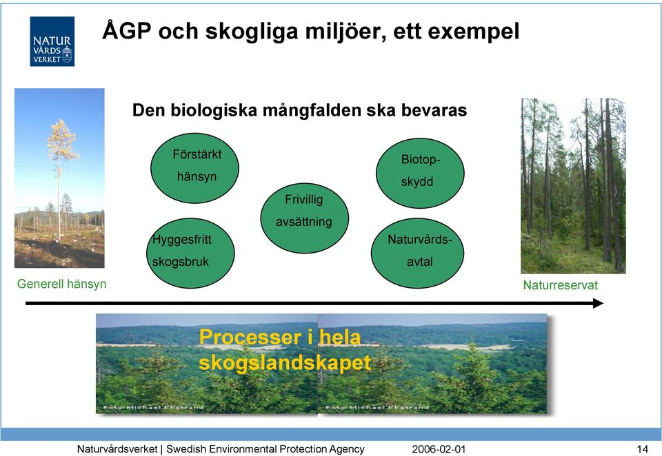 Hyggesfritt skogsbruk Frivillig avsättning Biotopskydd