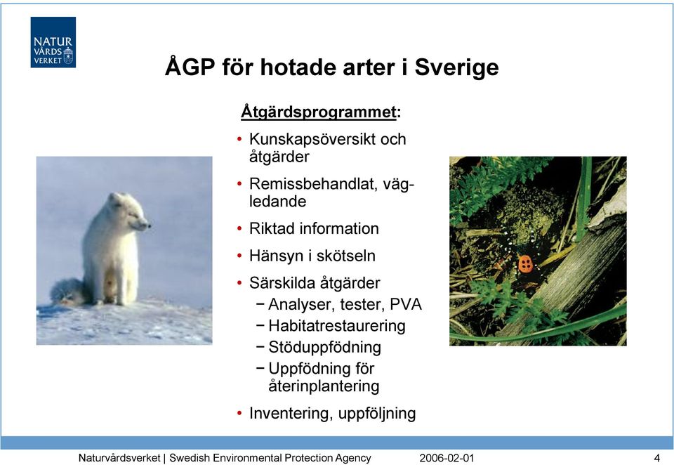 skötseln Särskilda åtgärder Analyser, tester, PVA Habitatrestaurering