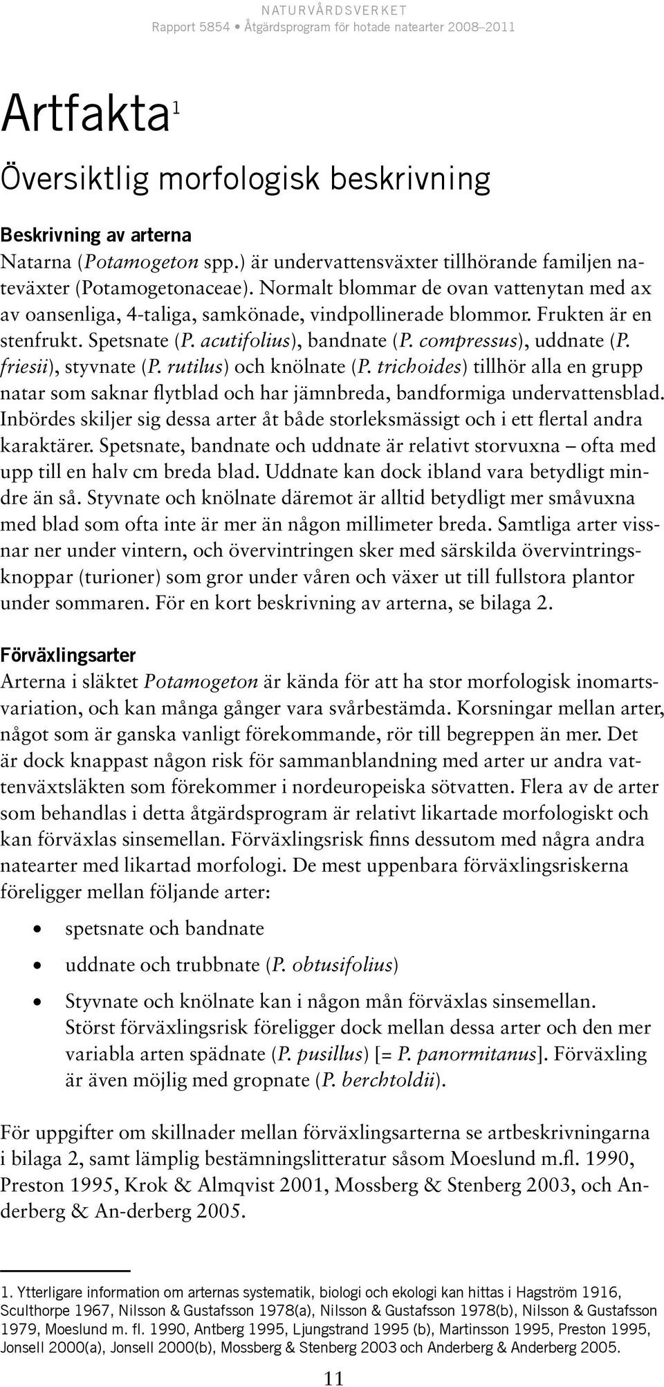 friesii), styvnate (P. rutilus) och knölnate (P. trichoides) tillhör alla en grupp natar som saknar flytblad och har jämnbreda, bandformiga undervattensblad.