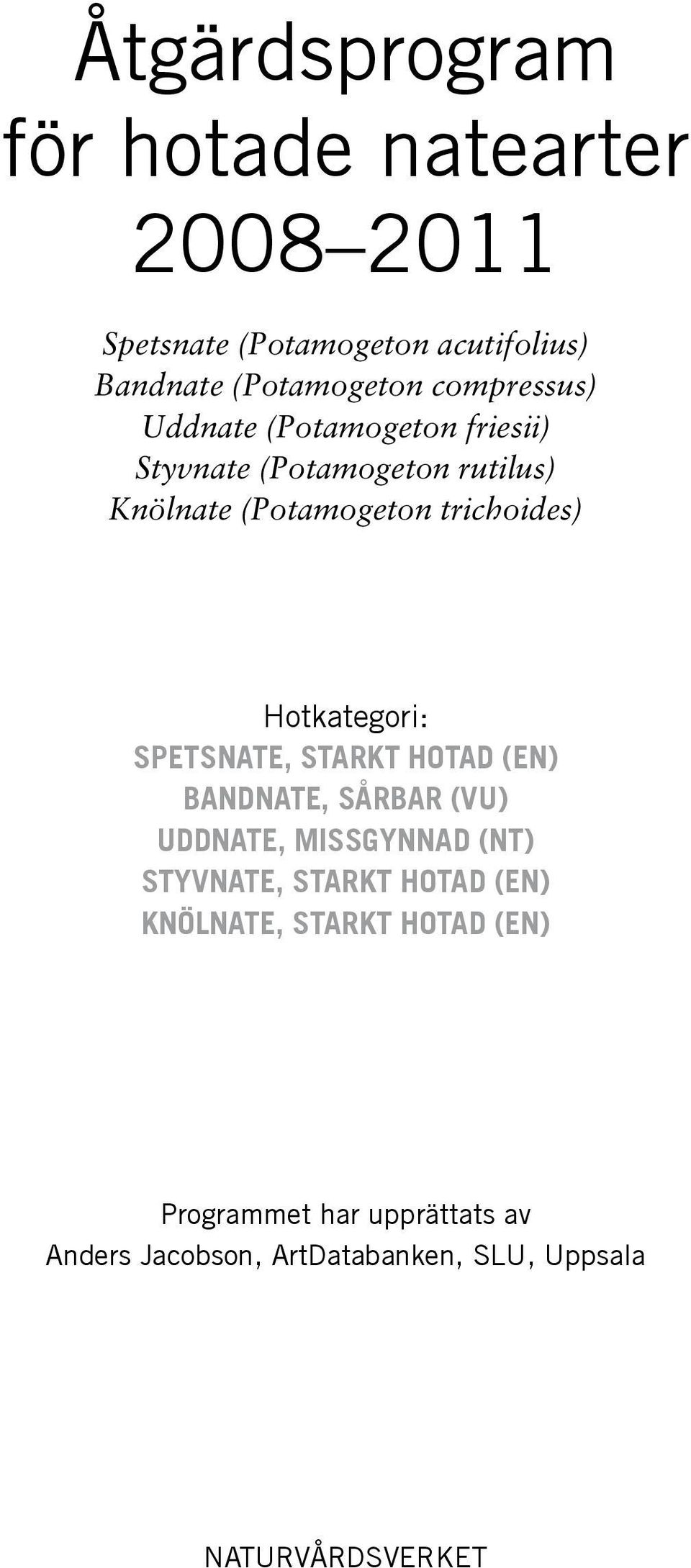 Hotkategori: Spetsnate, starkt hotad (EN) Bandnate, sårbar (VU) Uddnate, missgynnad (NT) Styvnate, starkt hotad