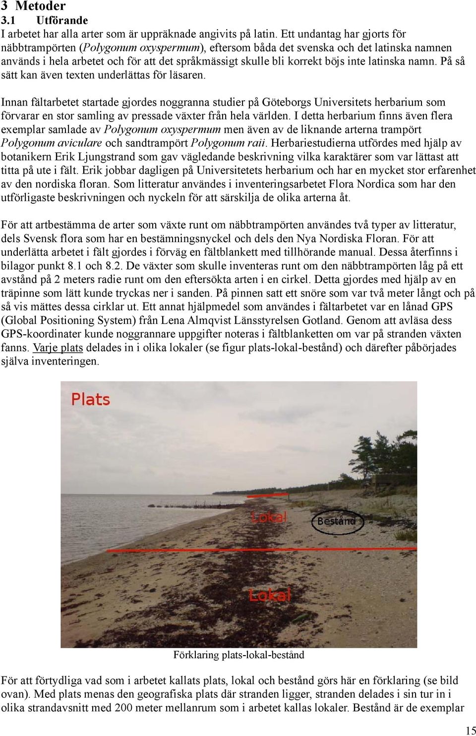 latinska namn. På så sätt kan även texten underlättas för läsaren.