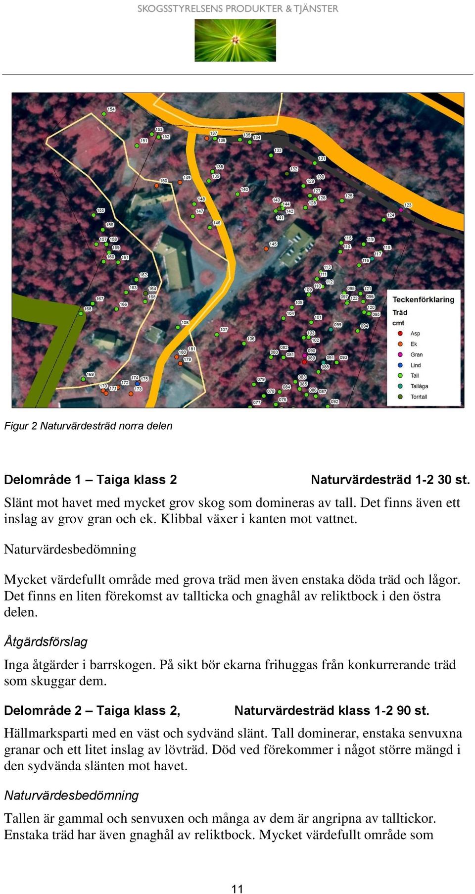 Det finns en liten förekomst av tallticka och gnaghål av reliktbock i den östra delen. Åtgärdsförslag Inga åtgärder i barrskogen. På sikt bör ekarna frihuggas från konkurrerande träd som skuggar dem.