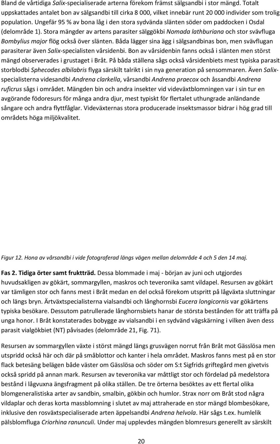 Ungefär 95 % av bona låg i den stora sydvända slänten söder om paddocken i Osdal (delområde 1).