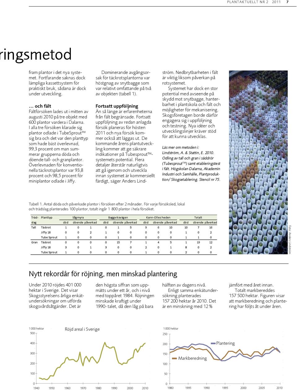 I alla tre försöken klarade sig plantor odlade i TubeSprout sig bra och det var den planttyp som hade bäst överlevnad, 99,3 procent om man summerar grupperna döda och döende tall- och granplantor.