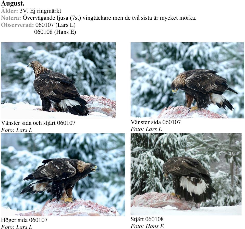 men de två sista är mycket mörka.