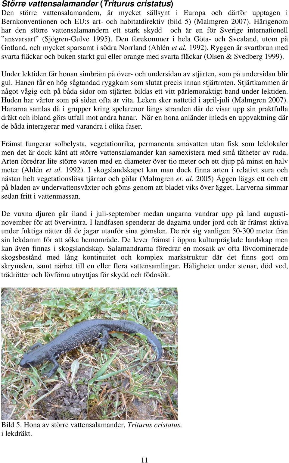 Den förekommer i hela Göta- och Svealand, utom på Gotland, och mycket sparsamt i södra Norrland (Ahlén et al. ).
