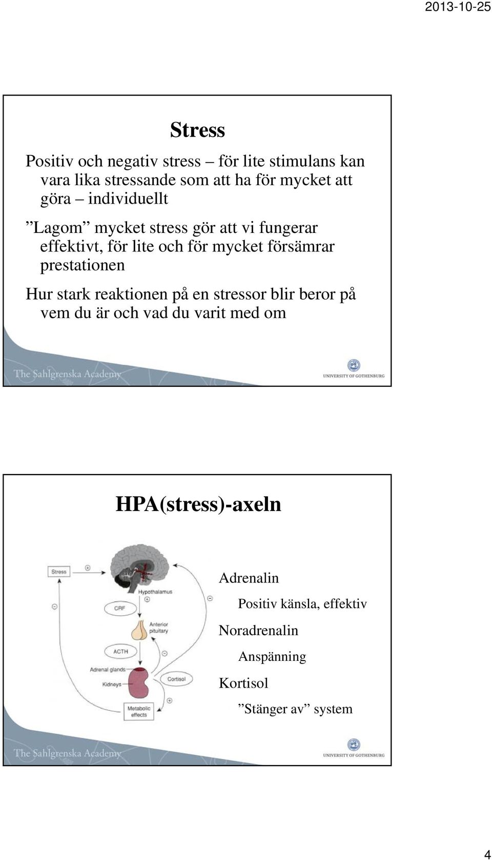 försämrar prestationen Hur stark reaktionen på en stressor blir beror på vem du är och vad du varit