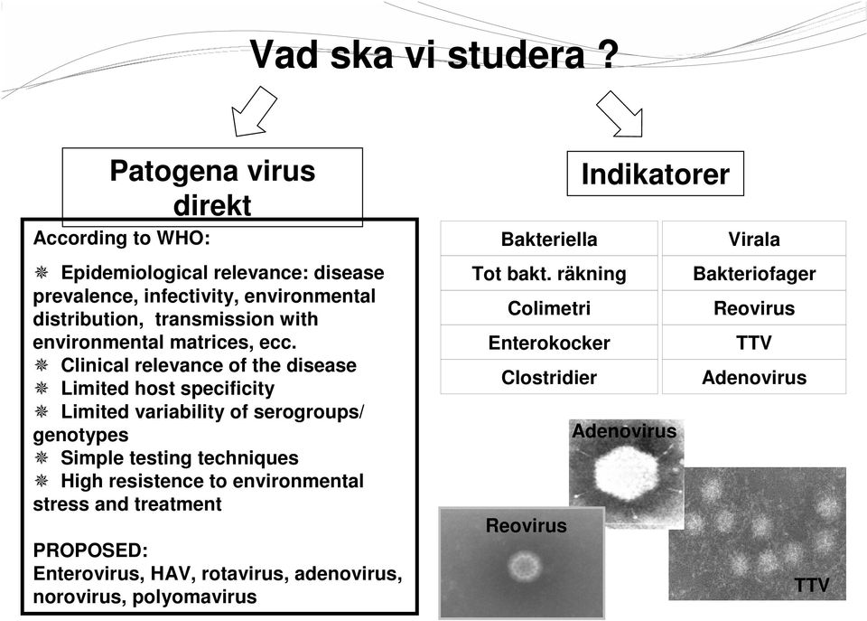 environmental matrices, ecc.