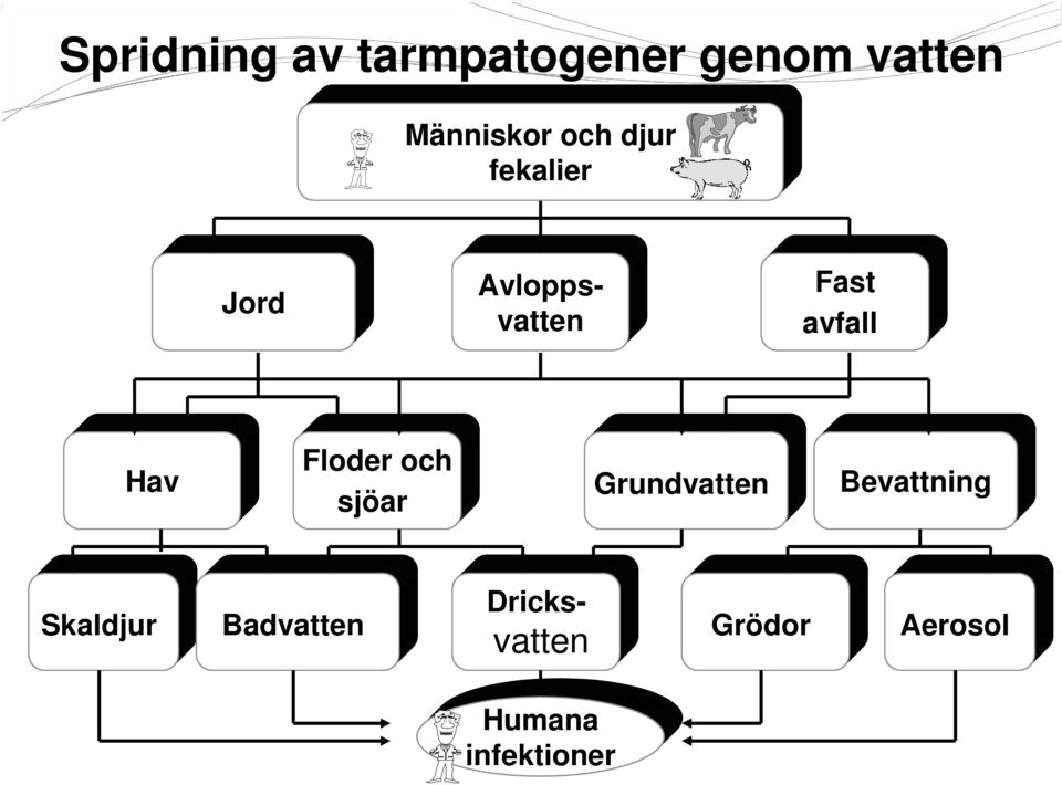 Hav Floder och sjöar Grundvatten Bevattning