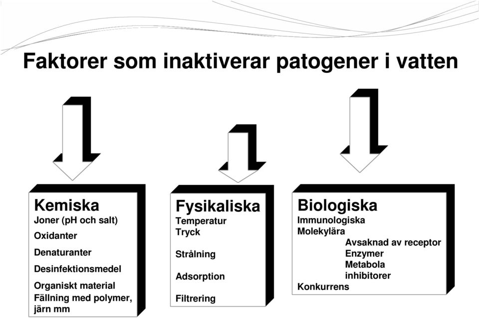 polymer, järn mm Fysikaliska Temperatur Tryck Strålning Adsorption Filtrering