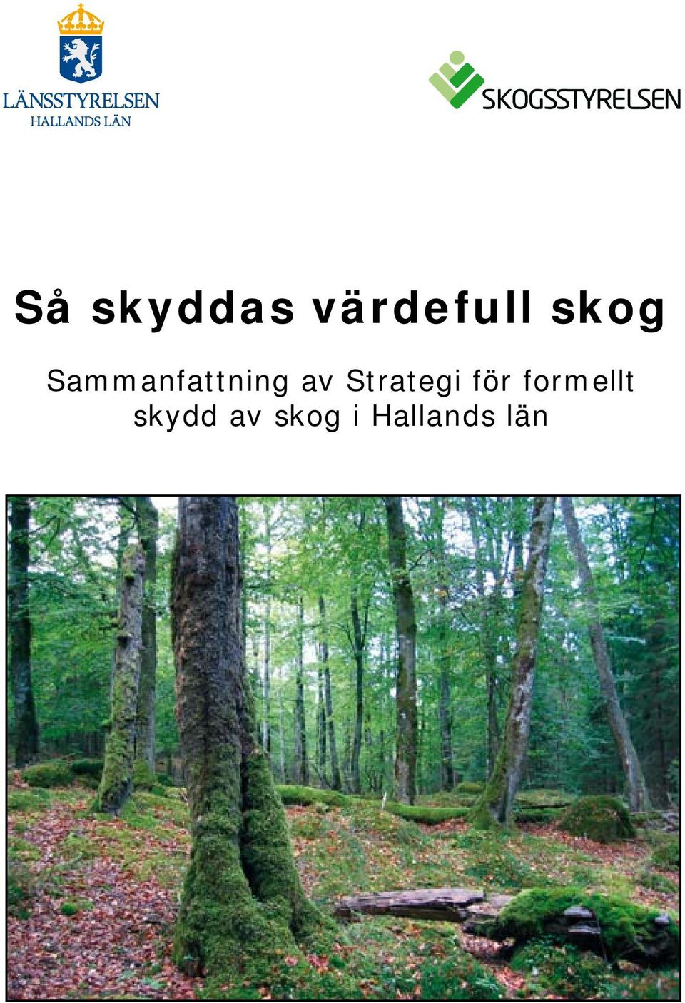 Strategi för formellt