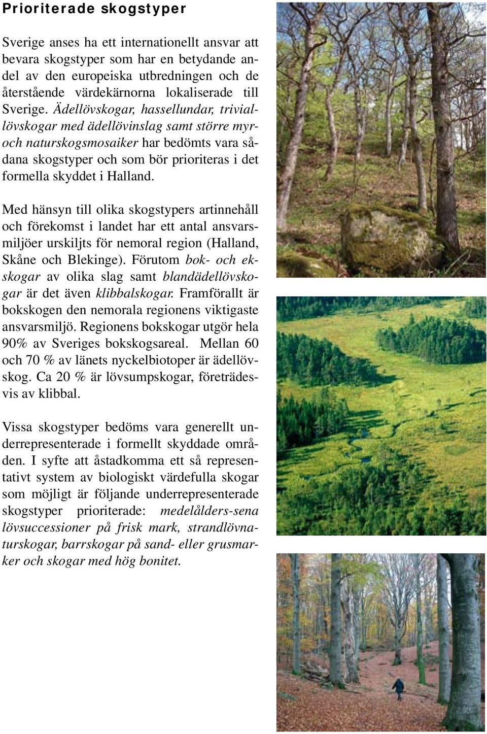 Ädellövskogar, hassellundar, triviallövskogar med ädellövinslag samt större myroch naturskogsmosaiker har bedömts vara sådana skogstyper och som bör prioriteras i det formella skyddet i Halland.