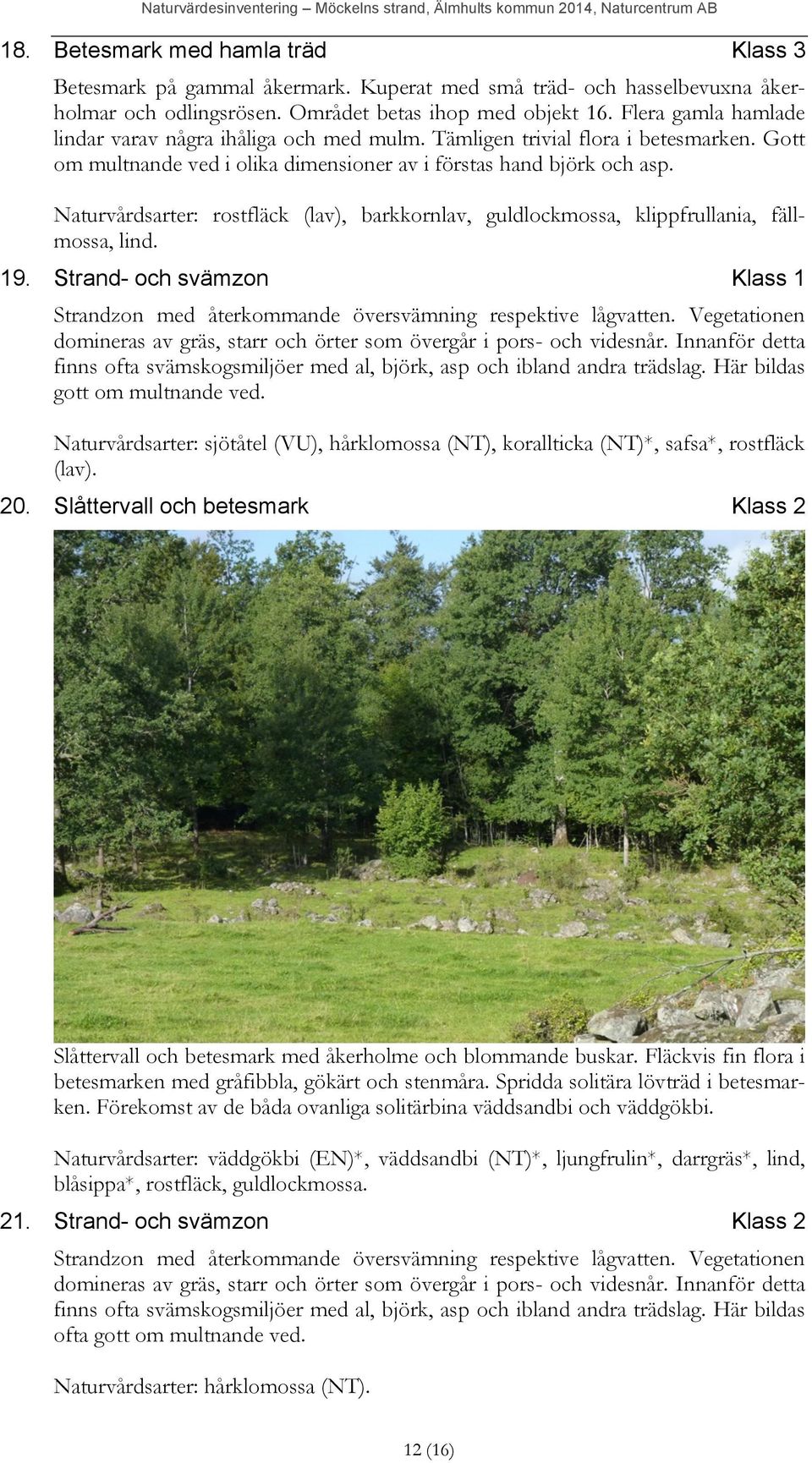 Naturvårdsarter: rostfläck (lav), barkkornlav, guldlockmossa, klippfrullania, fällmossa, lind. 19. Strand- och svämzon Klass 1 Strandzon med återkommande översvämning respektive lågvatten.