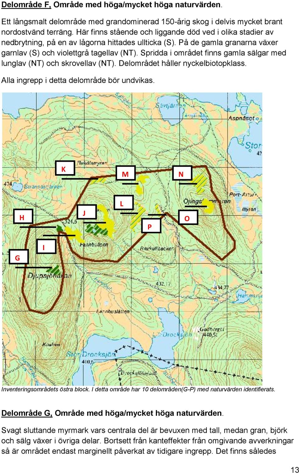 Spridda i området finns gamla sälgar med lunglav (NT) och skrovellav (NT). Delområdet håller nyckelbiotopklass. Alla ingrepp i detta delområde bör undvikas.