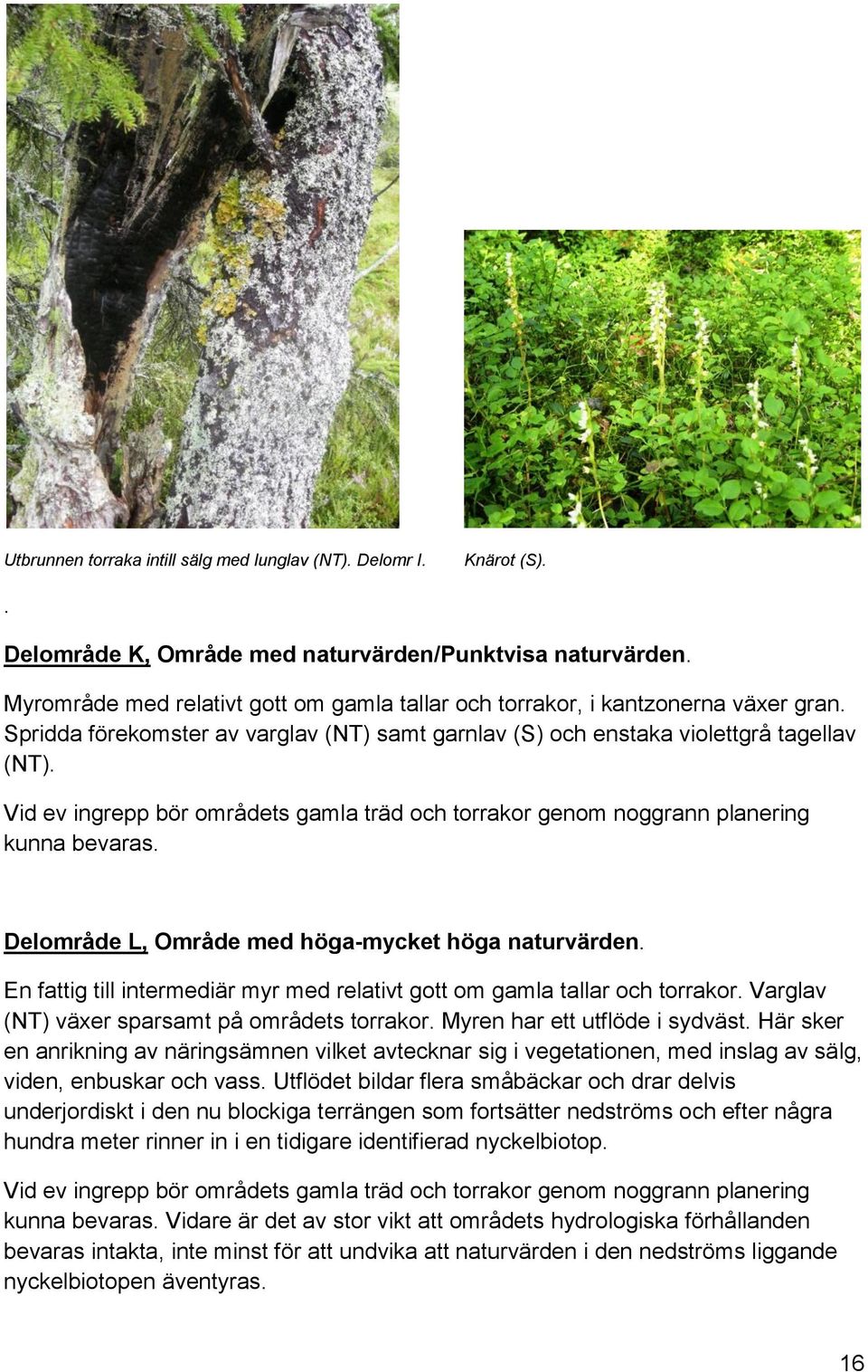 Vid ev ingrepp bör områdets gamla träd och torrakor genom noggrann planering kunna bevaras. Delområde L, Område med höga-mycket höga naturvärden.