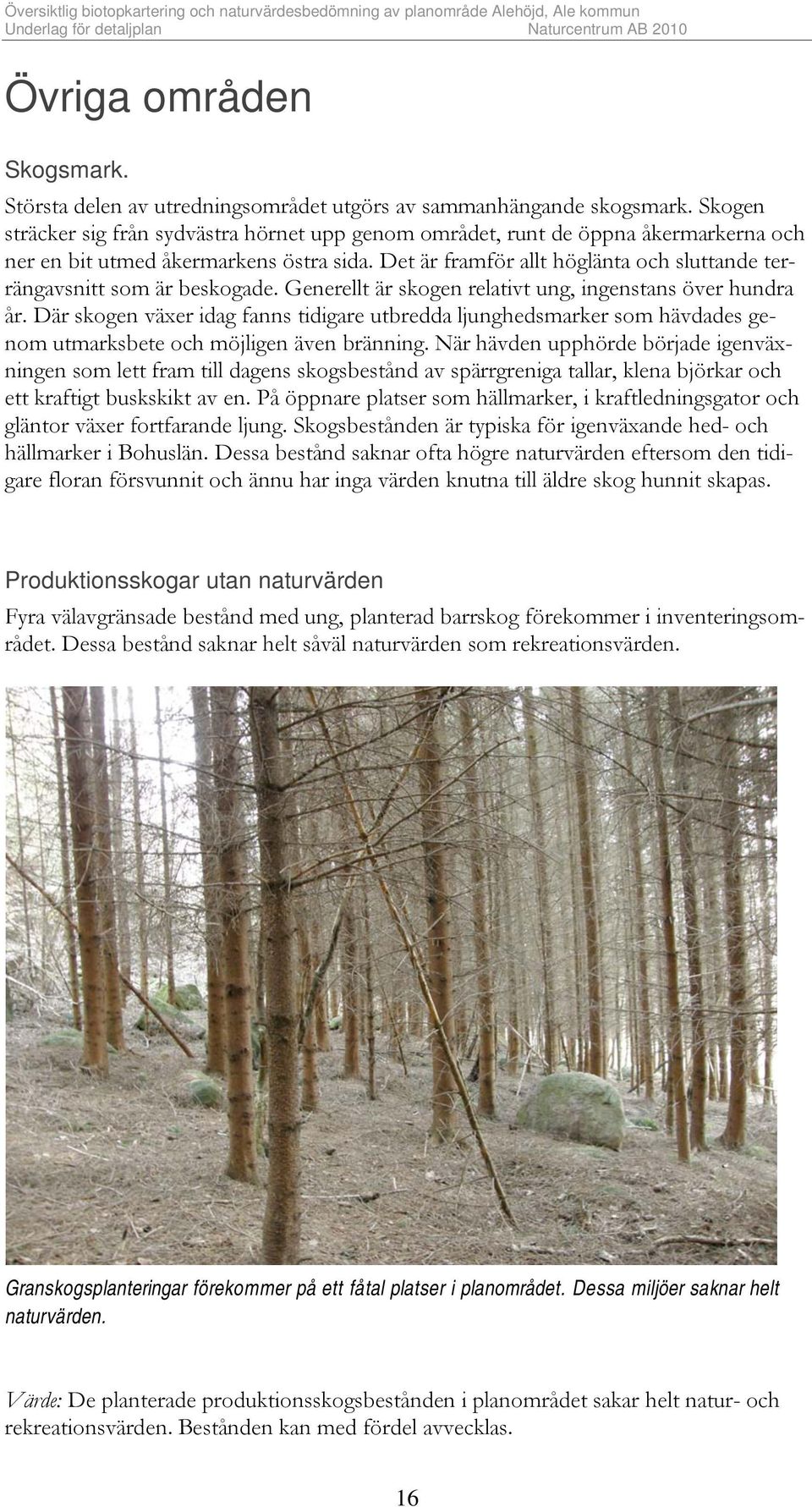 Det är framför allt höglänta och sluttande terrängavsnitt som är beskogade. Generellt är skogen relativt ung, ingenstans över hundra år.