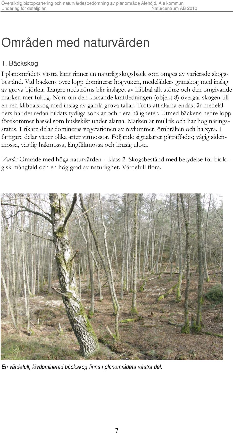 Norr om den korsande kraftledningen (objekt 8) övergår skogen till en ren klibbalskog med inslag av gamla grova tallar.