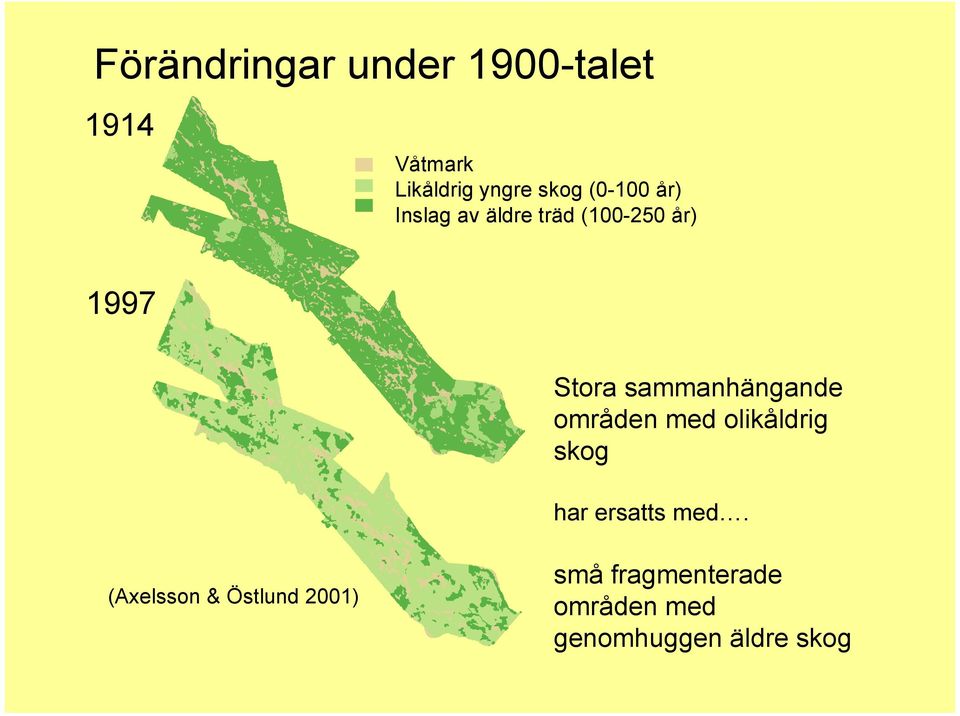 sammanhängande områden med olikåldrig skog har ersatts med.