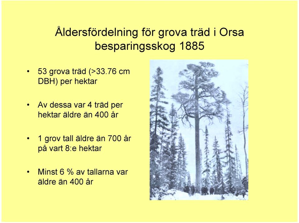 76 cm DBH) per hektar Av dessa var 4 träd per hektar äldre