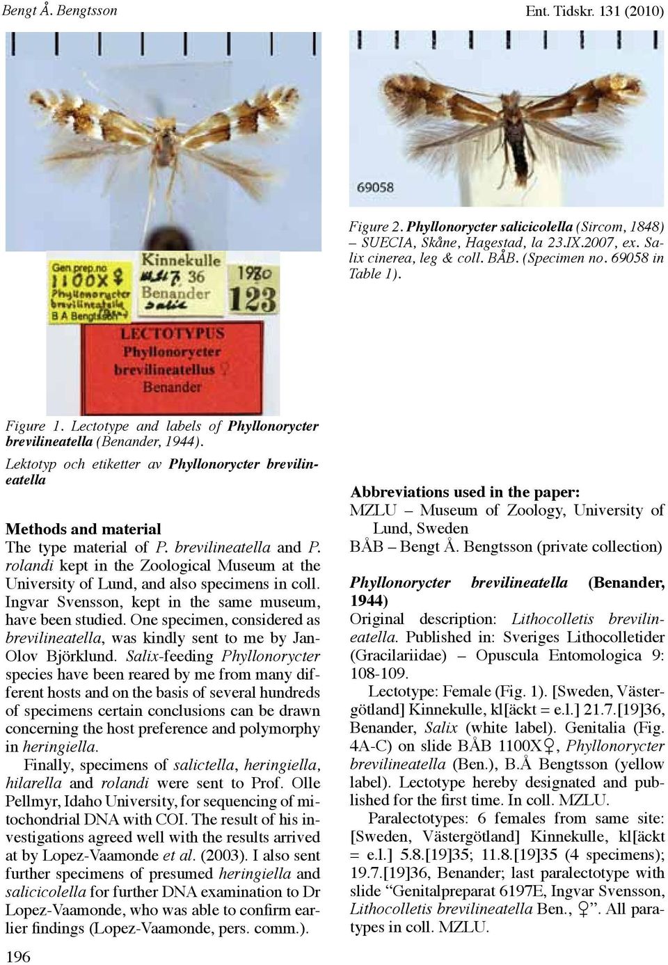 Lektotyp och etiketter av Phyllonorycter brevilineatella Methods and material The type material of P. brevilineatella and P.