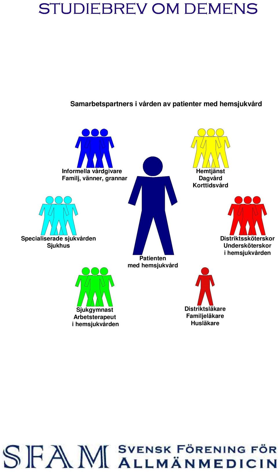 Specialiserade sjukvården Sjukhus Patienten med hemsjukvård Distriktssköterskor