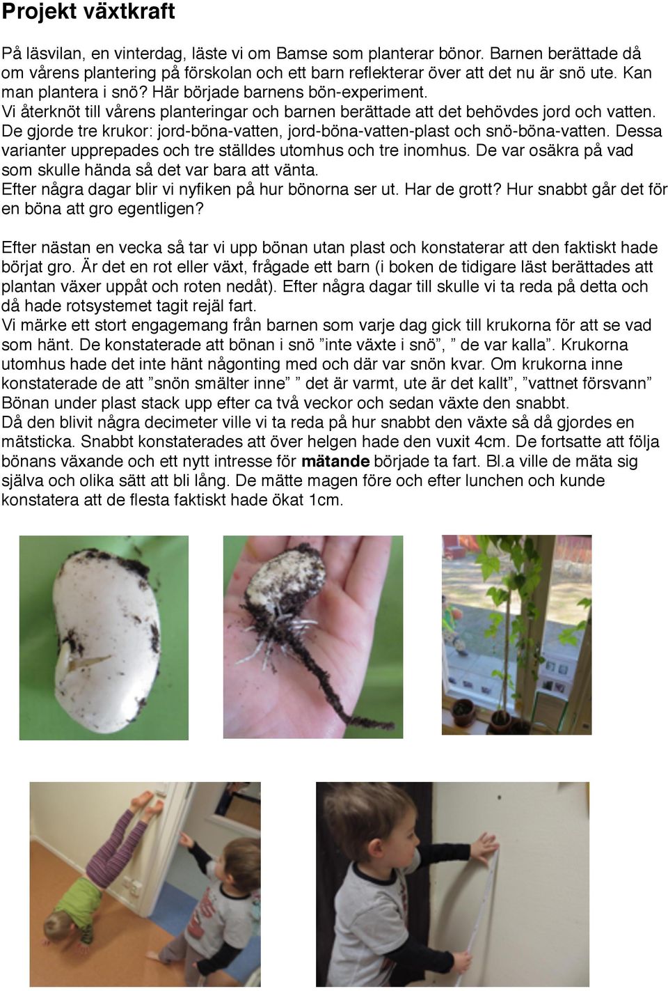 De gjorde tre krukor: jord-böna-vatten, jord-böna-vatten-plast och snö-böna-vatten. Dessa varianter upprepades och tre ställdes utomhus och tre inomhus.