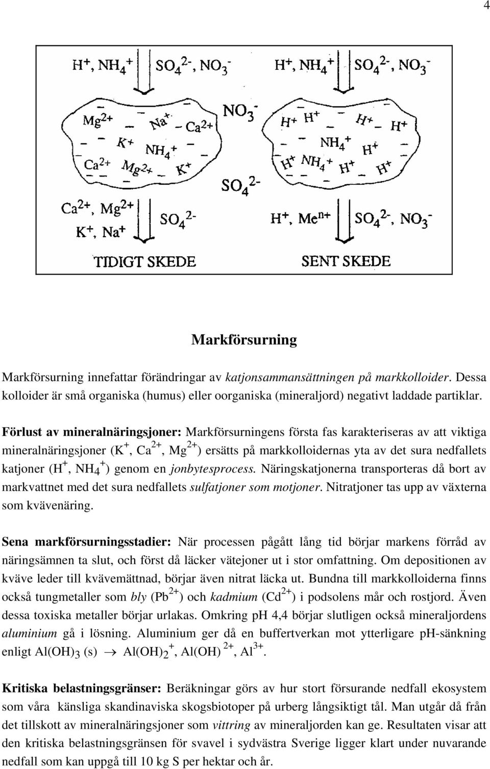 +, NH 4 + ) genom en jonbytesprocess. Näringskatjonerna transporteras då bort av markvattnet med det sura nedfallets sulfatjoner som motjoner. Nitratjoner tas upp av växterna som kvävenäring.