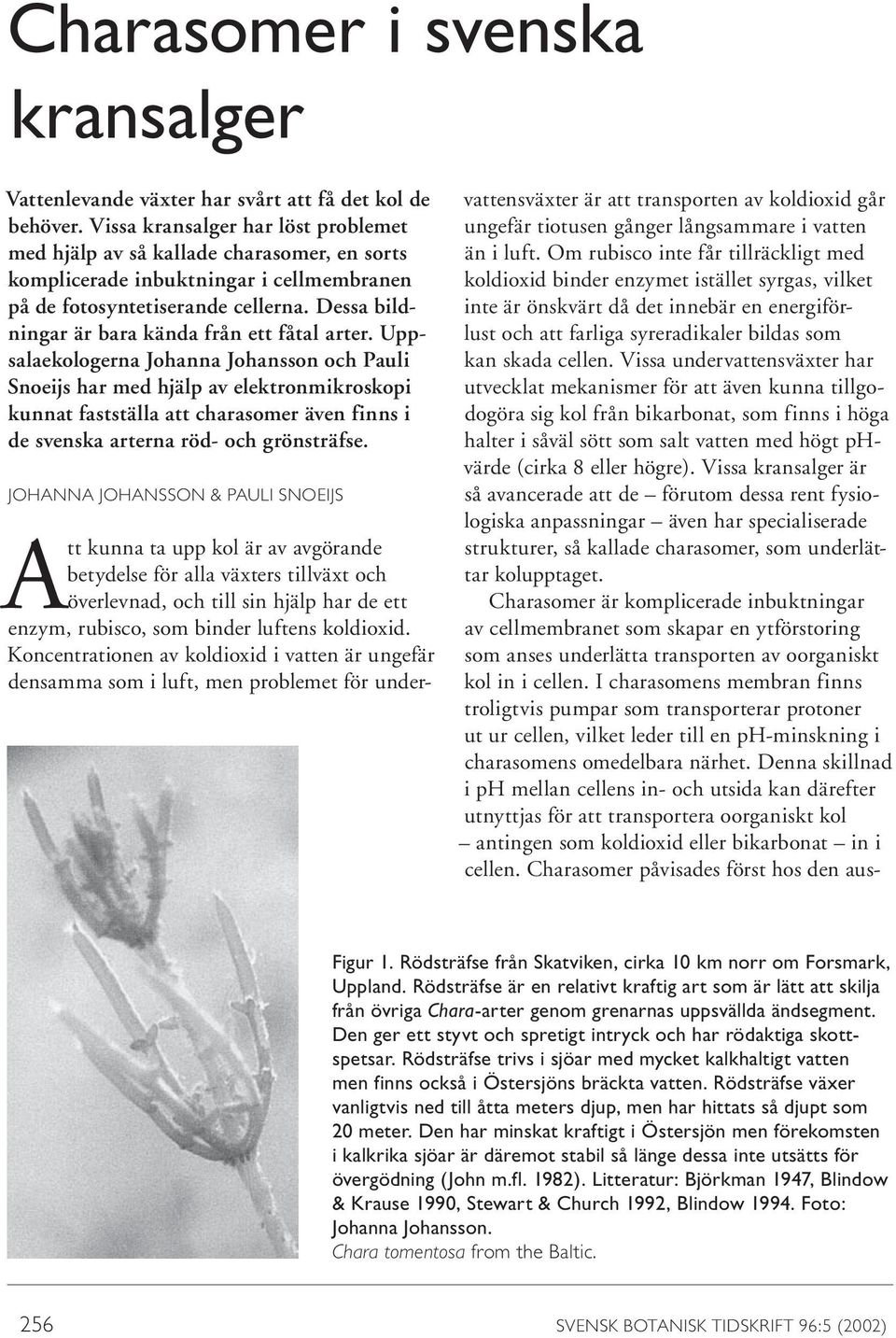 Dessa bildningar är bara kända från ett fåtal arter.