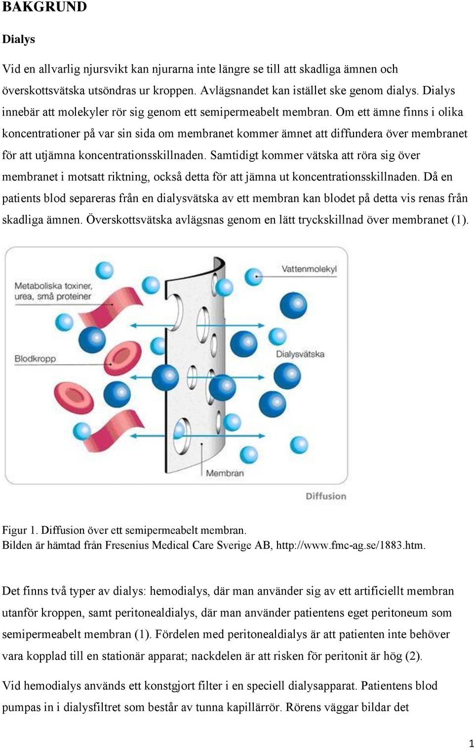 Om ett ämne finns i olika koncentrationer på var sin sida om membranet kommer ämnet att diffundera över membranet för att utjämna koncentrationsskillnaden.