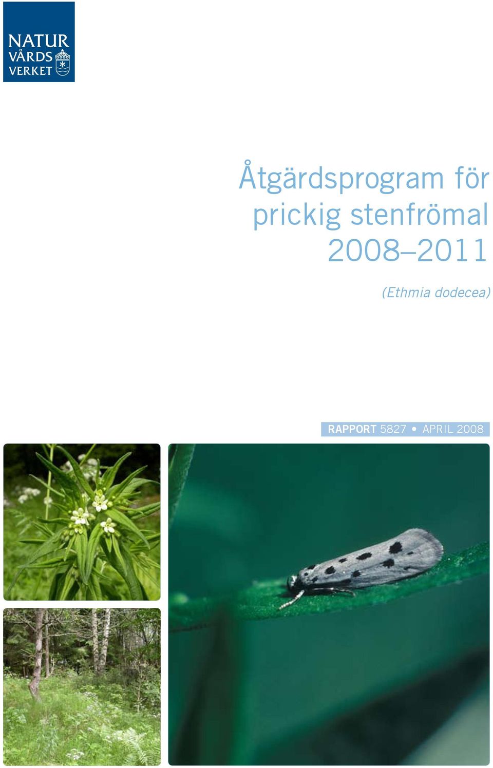 2008 2011 (Ethmia