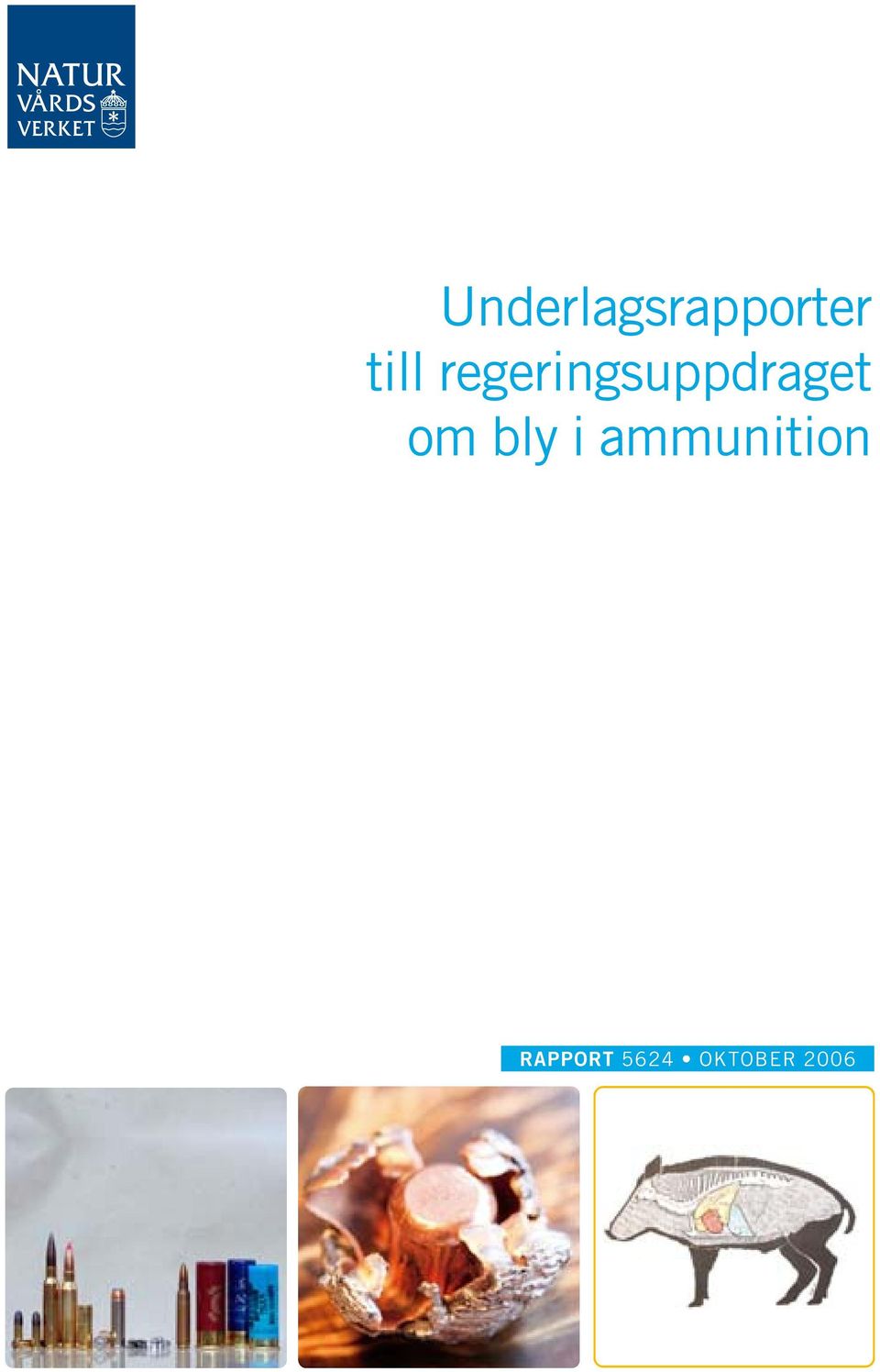regeringsuppdraget om