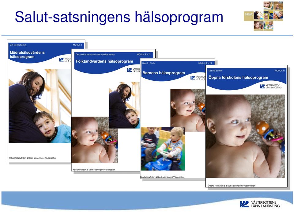 barnet Öppna förskolans hälsoprogram MODUL II Mödrahälsovården & Salut-satsningen i Västerbotten Folktandvården &