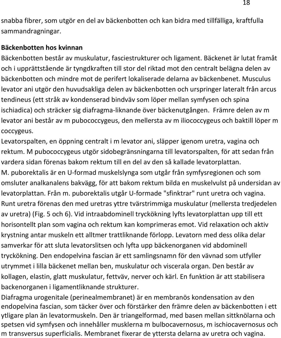 Musculus levator ani utgör den huvudsakliga delen av bäckenbotten och urspringer lateralt från arcus tendineus (ett stråk av kondenserad bindväv som löper mellan symfysen och spina ischiadica) och