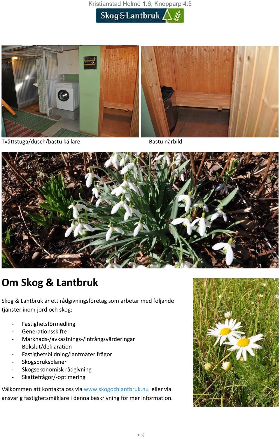 Bokslut/deklaration - Fastighetsbildning/lantmäterifrågor - Skogsbruksplaner - Skogsekonomisk rådgivning -