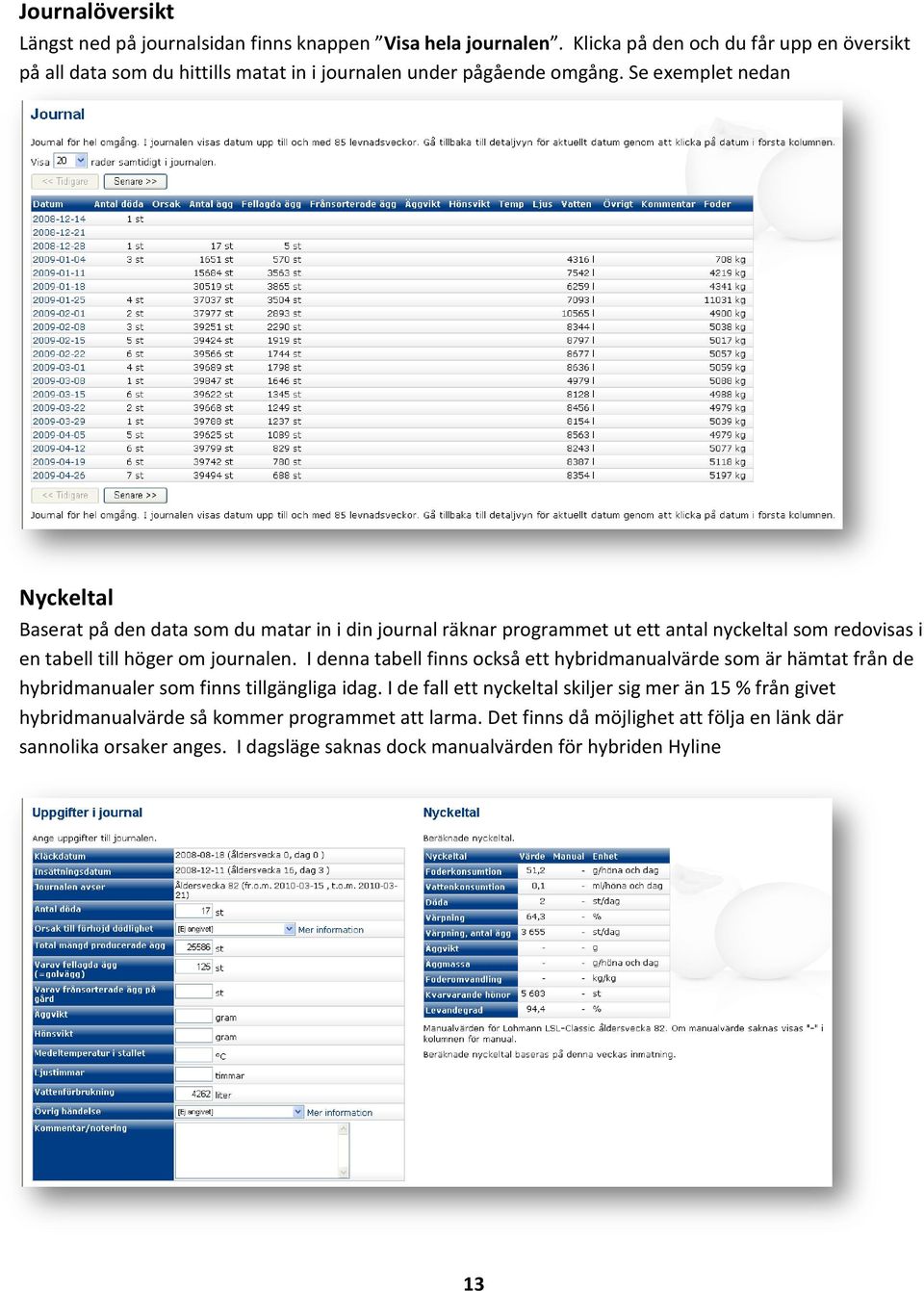 Se exemplet nedan Nyckeltal Baserat på den data som du matar in i din journal räknar programmet ut ett antal nyckeltal som redovisas i en tabell till höger om journalen.