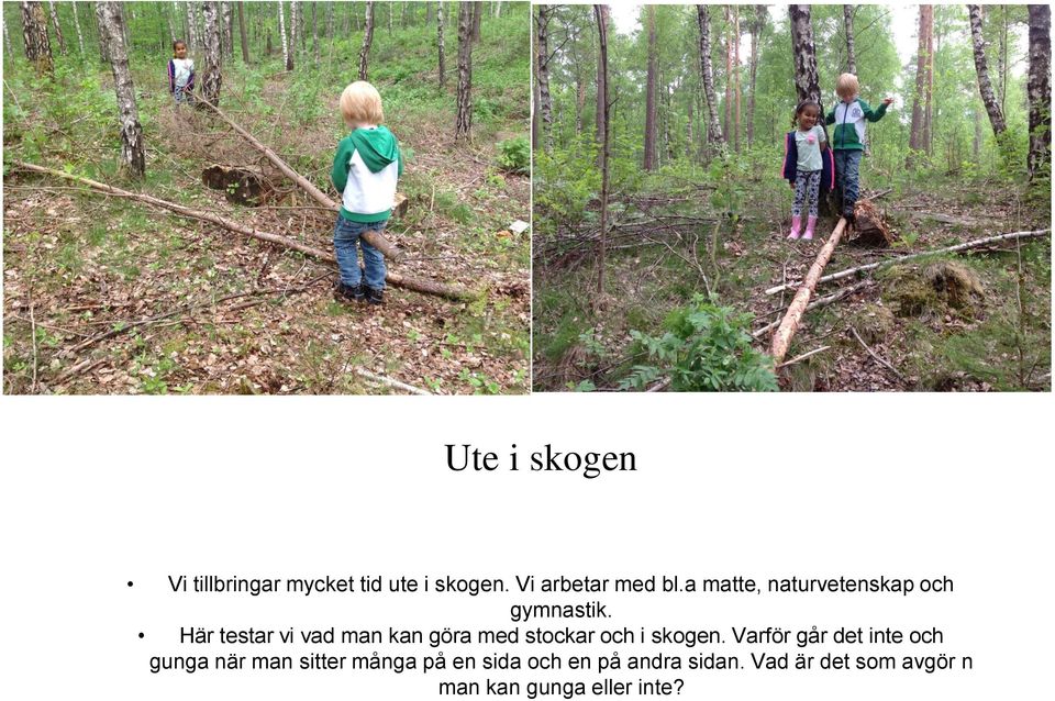 Här testar vi vad man kan göra med stockar och i skogen.