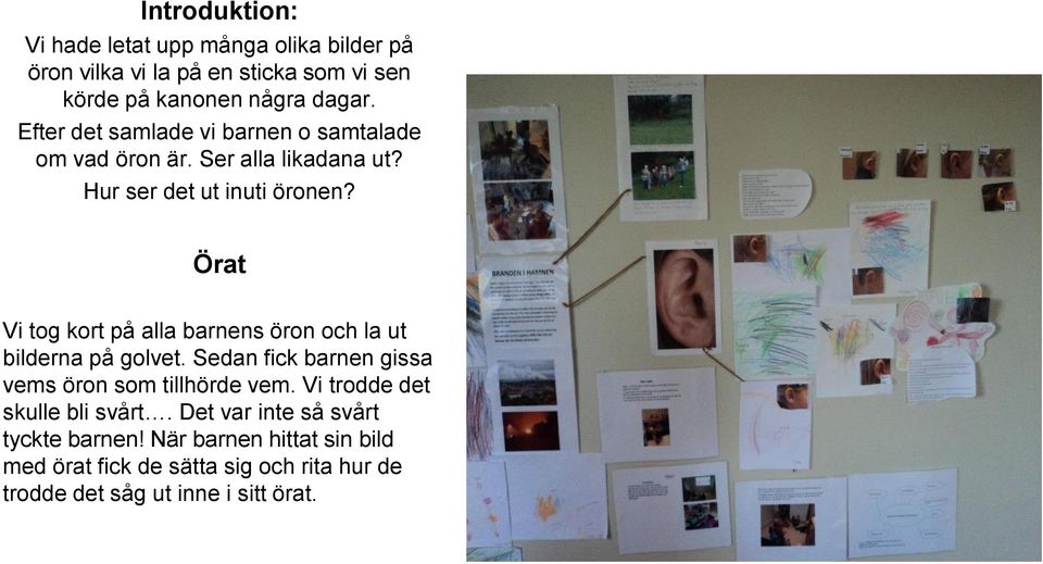 Örat Vi tog kort på alla barnens öron och la ut bilderna på golvet. Sedan fick barnen gissa vems öron som tillhörde vem.