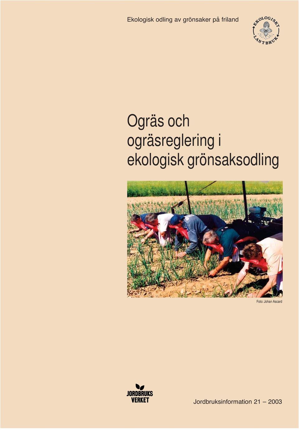 ekologisk grönsaksodling Foto: