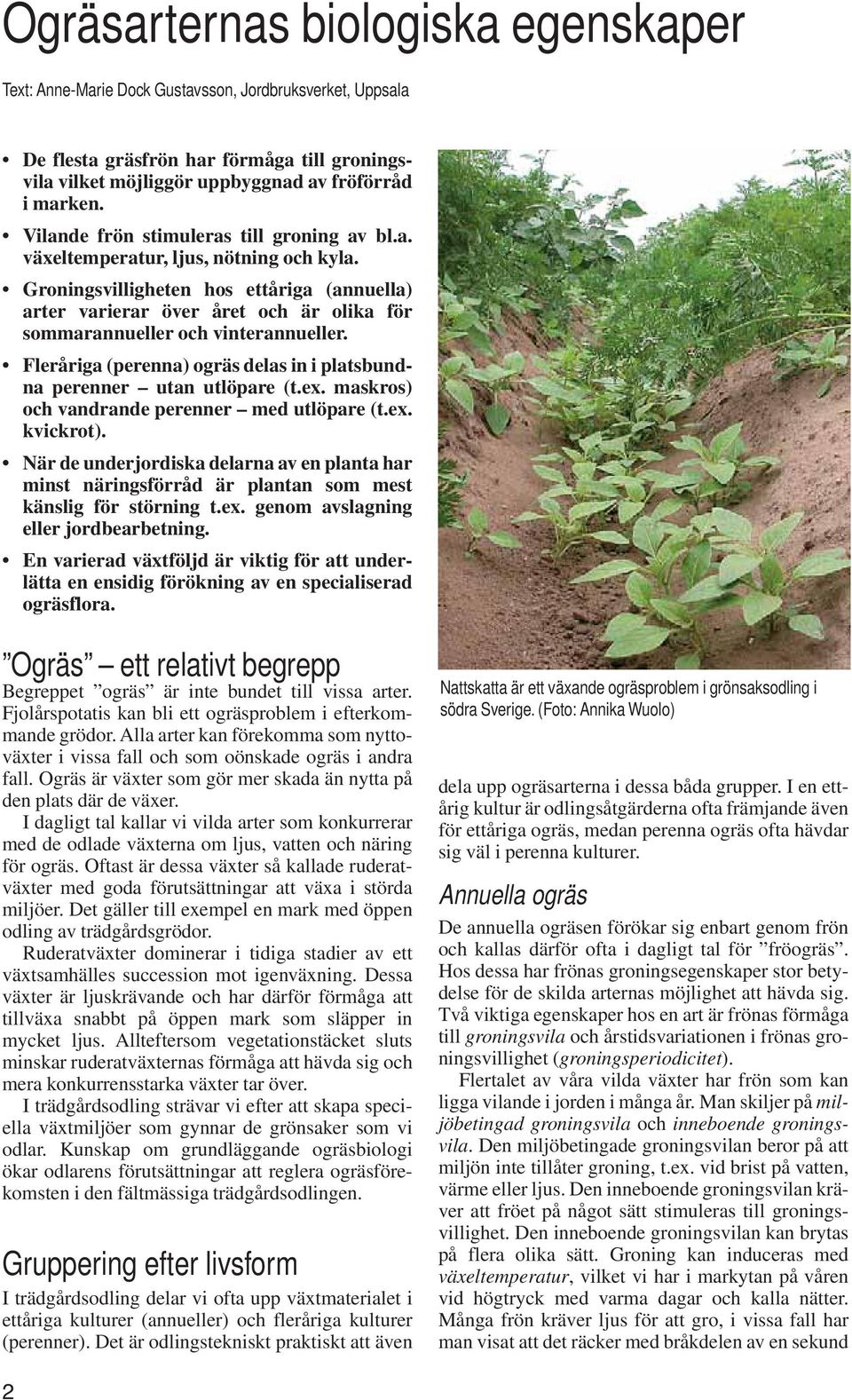 Groningsvilligheten hos ettåriga (annuella) arter varierar över året och är olika för sommar annueller och vinterannueller. Fleråriga (perenna) ogräs delas in i platsbundna perenner utan utlöpare (t.