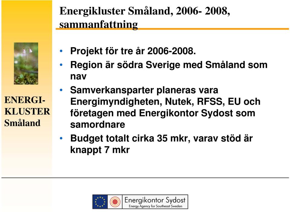 Energimyndigheten, Nutek, RFSS, EU och företagen med Energikontor