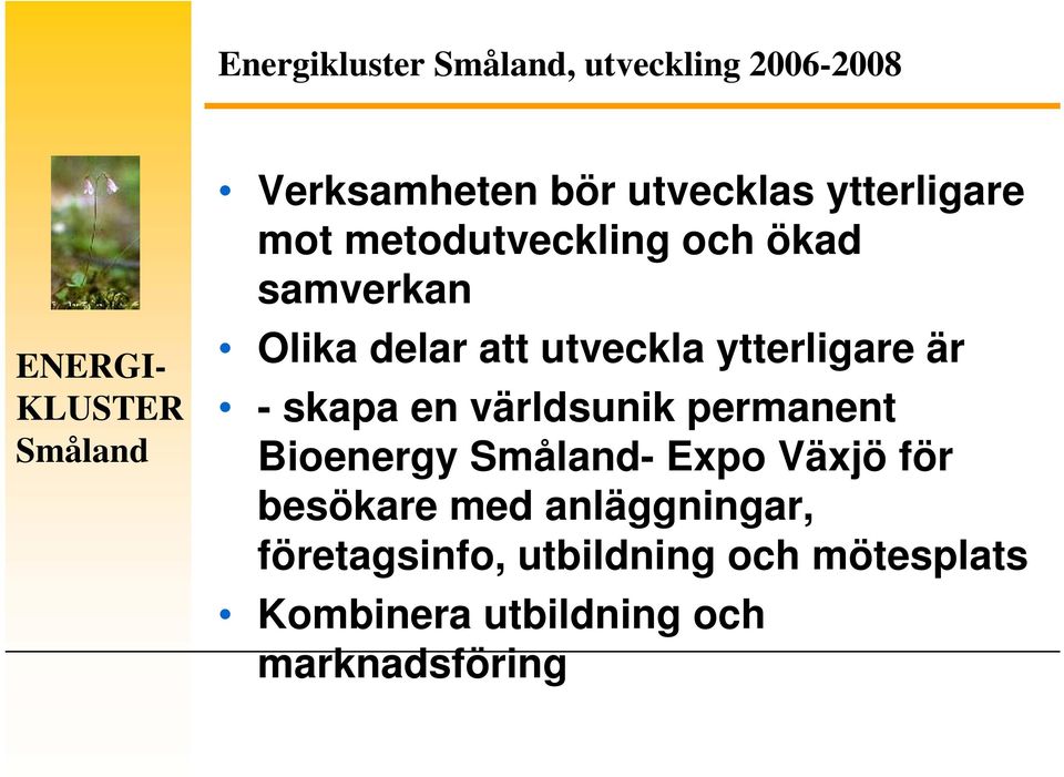 skapa en världsunik permanent Bioenergy - Expo Växjö för besökare med