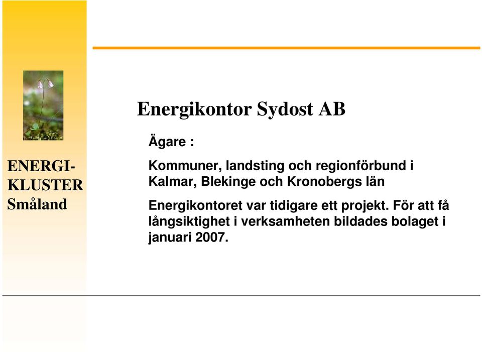 Energikontoret var tidigare ett projekt.