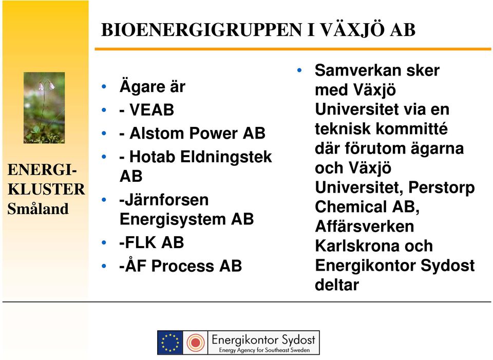 sker med Växjö Universitet via en teknisk kommitté där förutom ägarna och