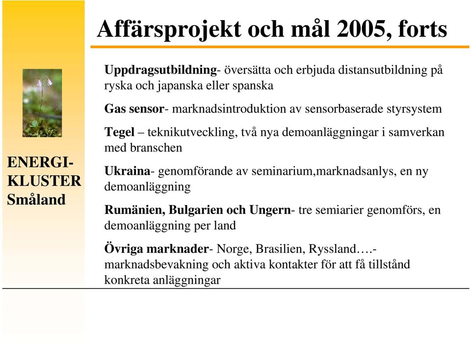 Ukraina- genomförande av seminarium,marknadsanlys, en ny demoanläggning Rumänien, Bulgarien och Ungern- tre semiarier genomförs, en