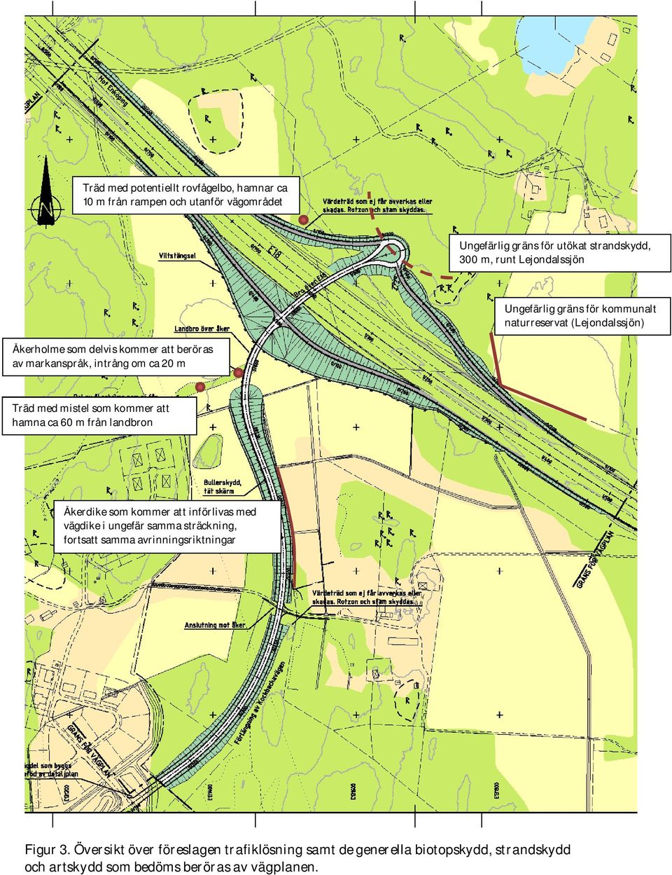 m Träd med mistel som kommer att hamna ca 60 m från landbron Åkerdike som kommer att införlivas med vägdike i ungefär samma sträckning, fortsatt