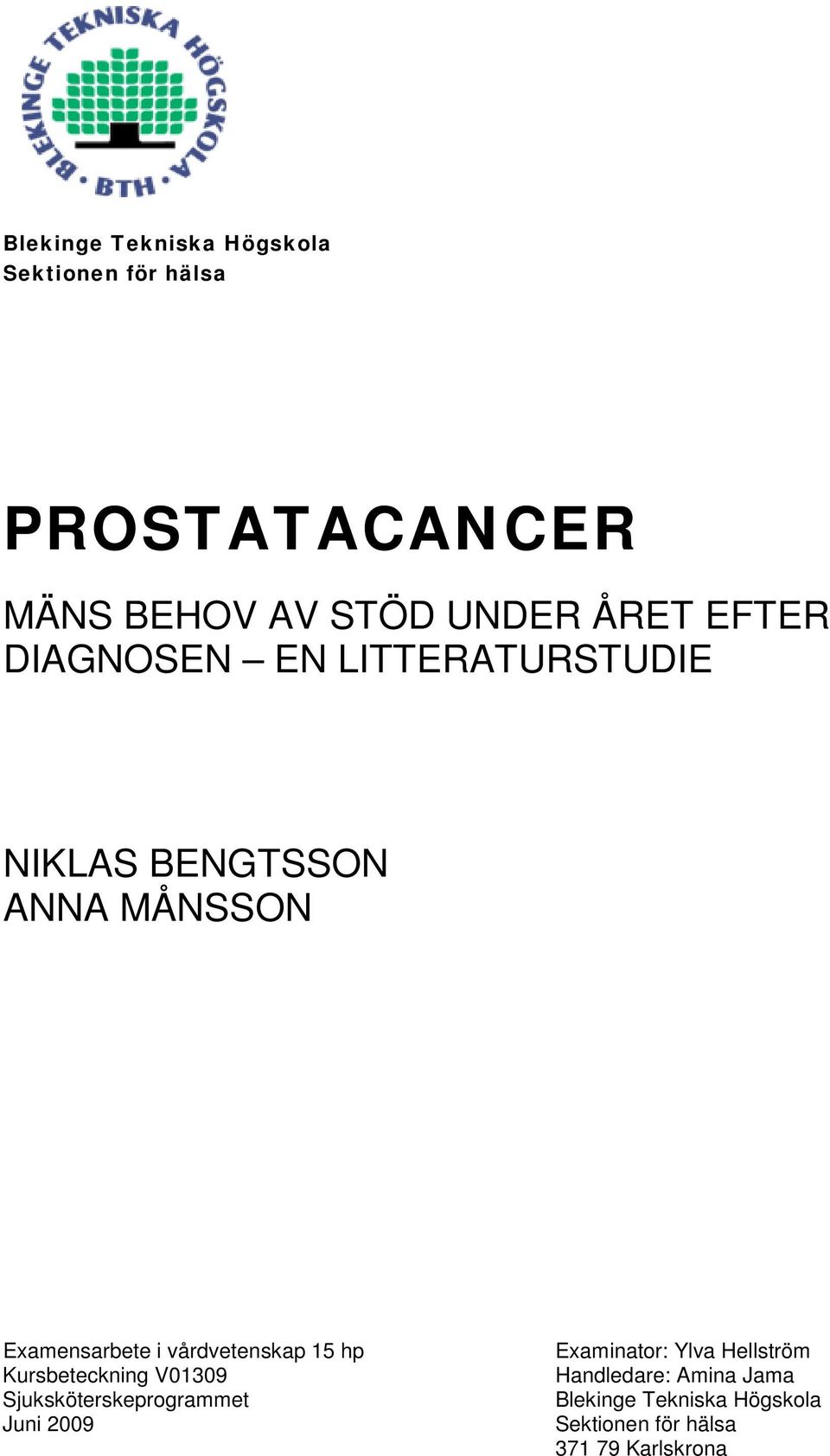 vårdvetenskap 15 hp Kursbeteckning V01309 Sjuksköterskeprogrammet Juni 2009 Examinator:
