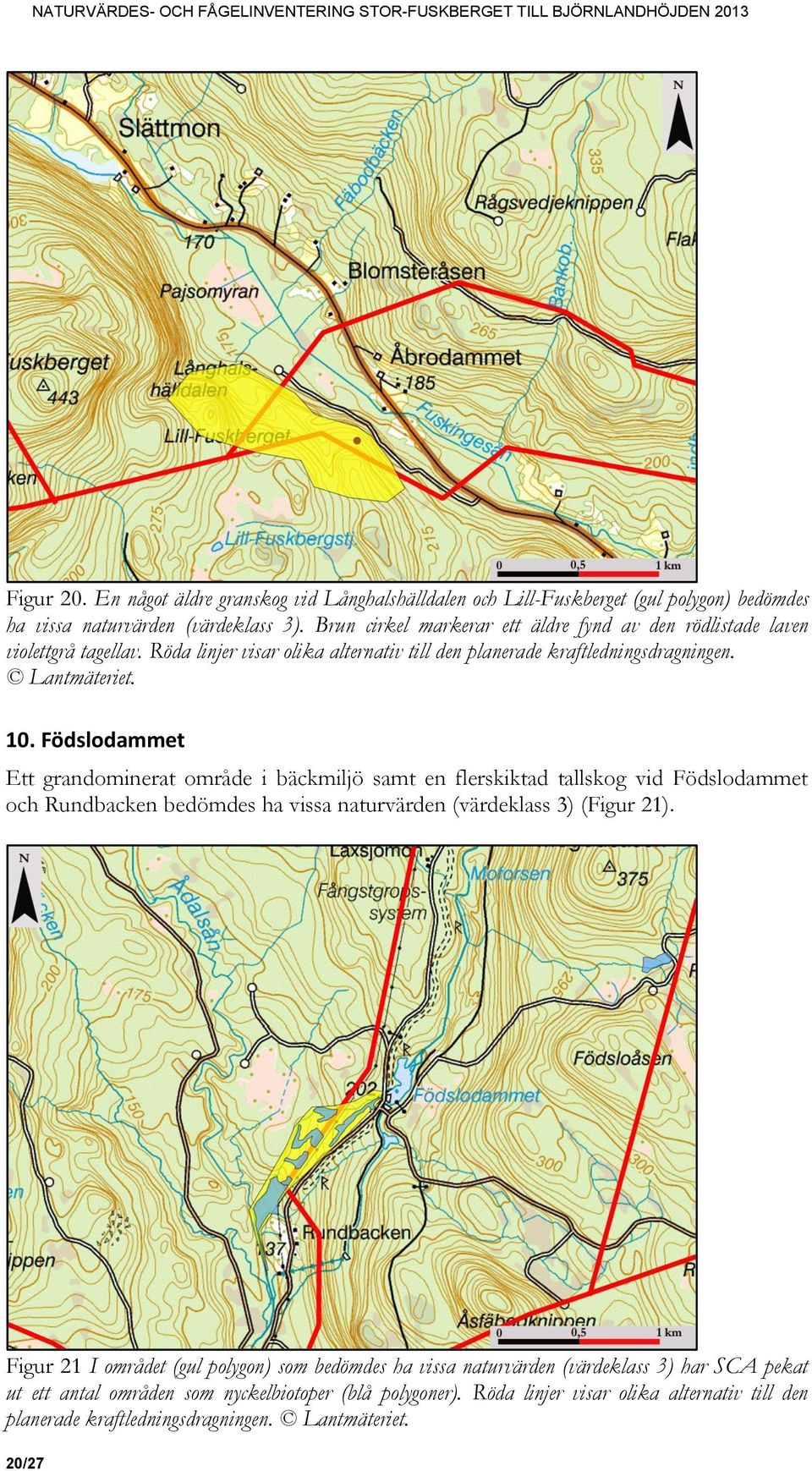 Födslodammet Ett grandominerat område i bäckmiljö samt en flerskiktad tallskog vid Födslodammet och Rundbacken bedömdes ha vissa naturvärden (värdeklass 3) (Figur 21).